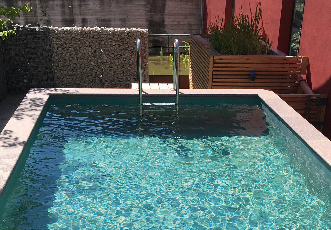 BioWaterPool-Naturpool_950x660_FLOWBOXTech#3