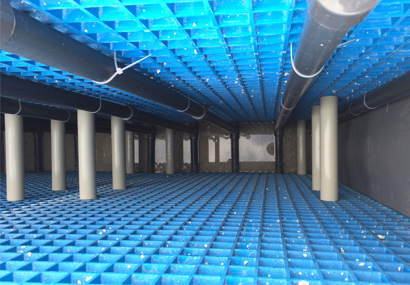 BioWaterPool-Naturpool_950x660_highFLOWTech#2