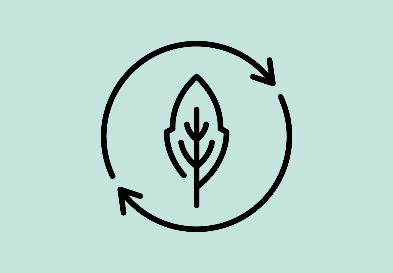 biofermenta#Bilder950x660#55